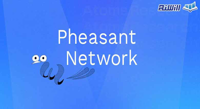 پلتفرم Phesant Network